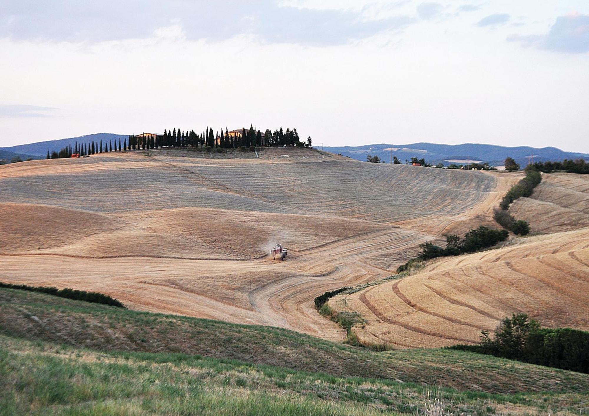 Agriturismo Bonello Pienza Bagian luar foto